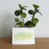 Green Forests painting with plant on desk