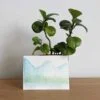 Blue Mountains v2 painting with plant on desk