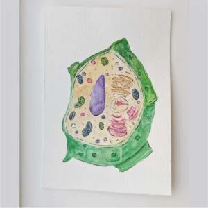 Plant Cell painting