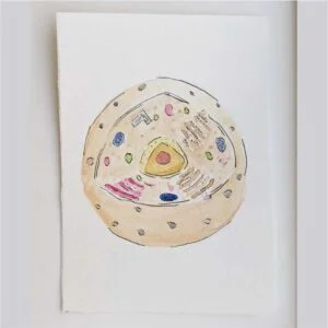Animal Cell painting