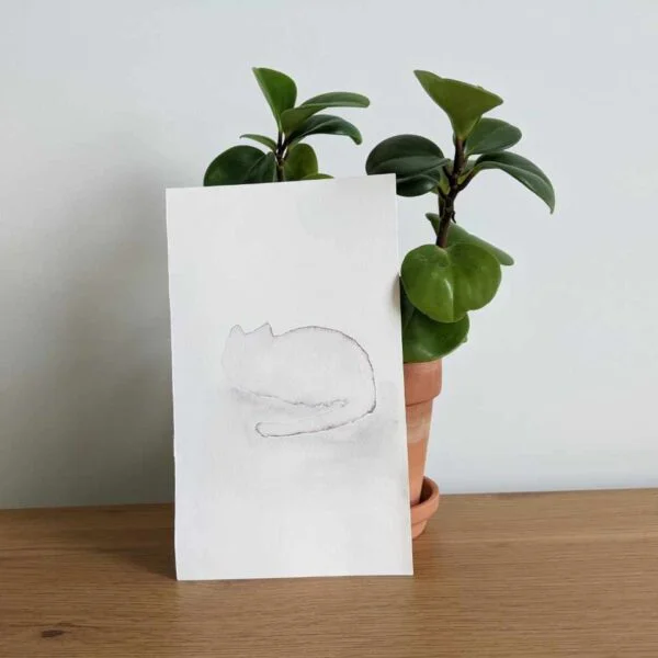 Laying Cat painting with plant on desk