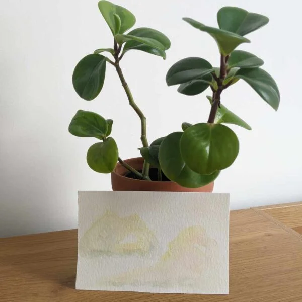 dreamy clouds #8 painting with plant on desk
