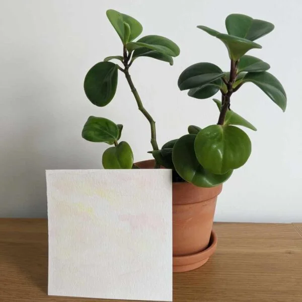 dreamy clouds #10 painting with plant on desk