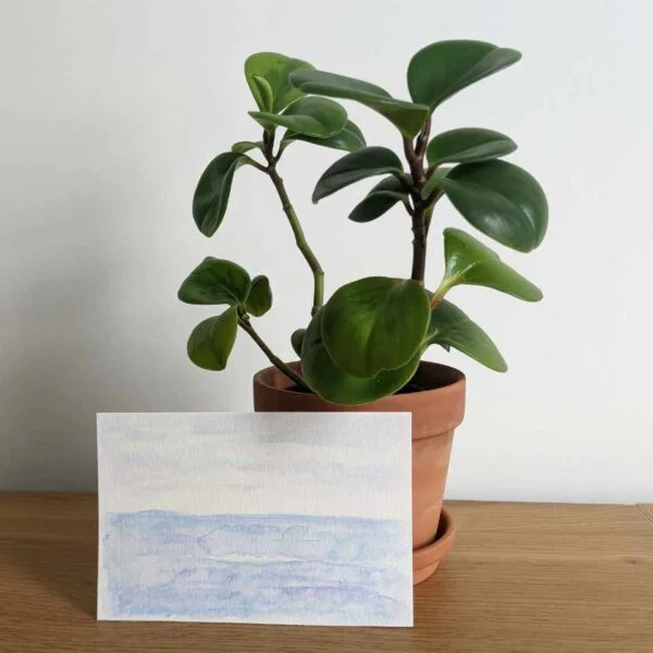 Ocean #1 painting with plant on desk