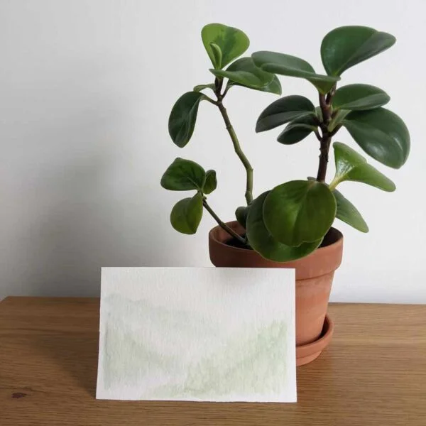 Foggy Forests #3 painting with plant on desk