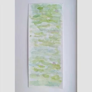 watercolour painting of water lilies